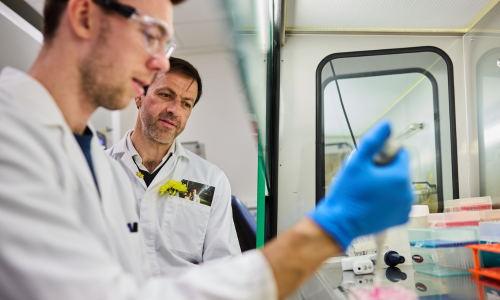 Cancer Research Giving Day